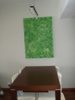 /album/fotogaleria/p1010374-jpg/